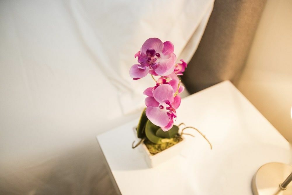 Apartamento Catedral De La Almudena 3*